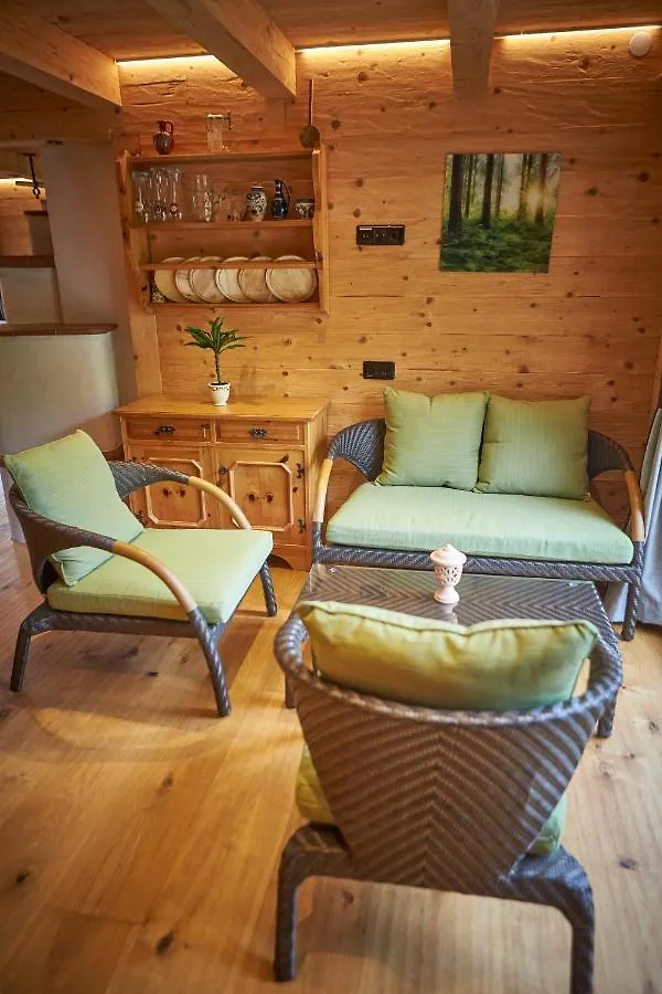 Woodstyle Chalet Villa Saalbach-Hinterglemm 0*,